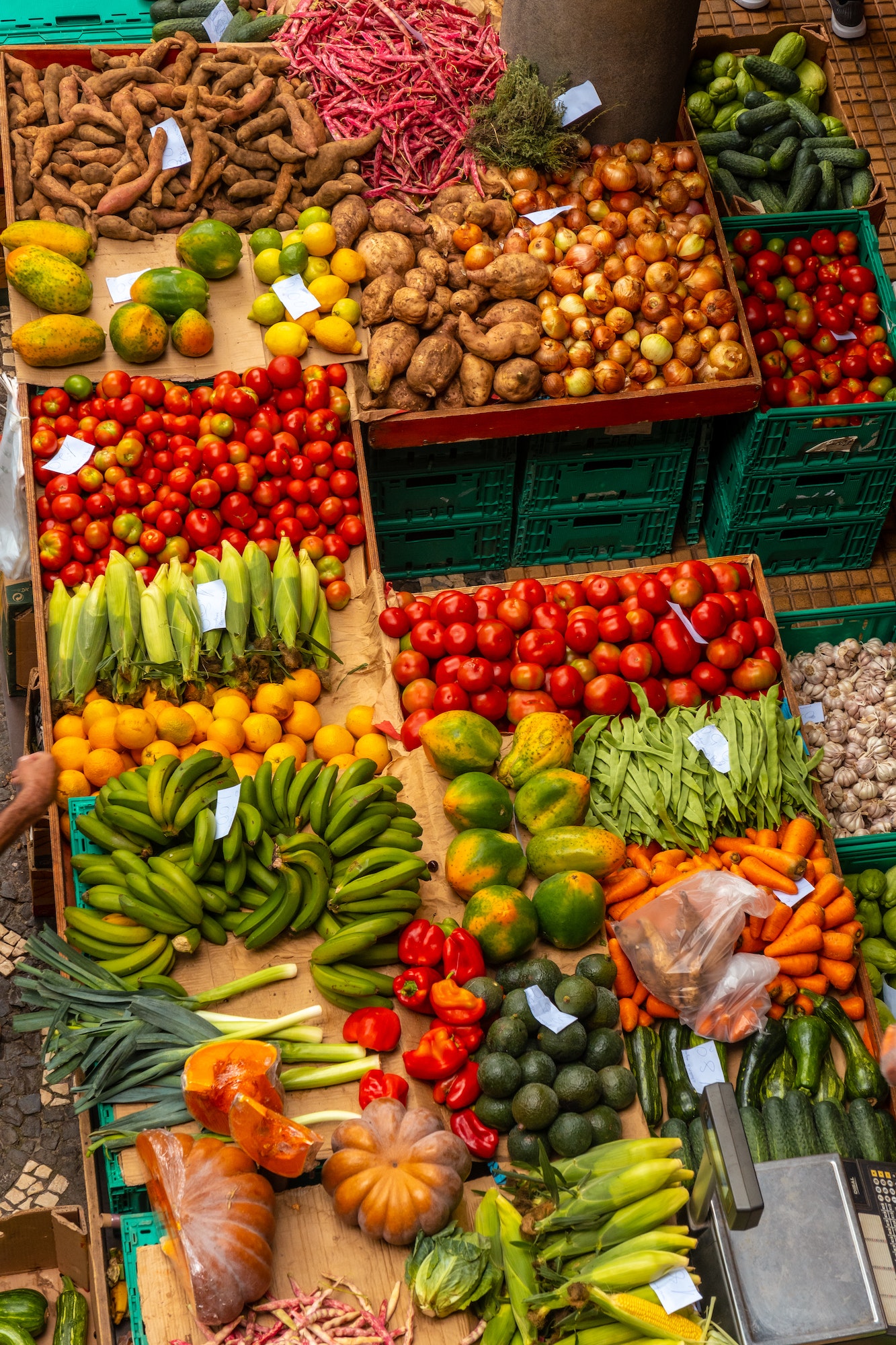 Aerial view of the fruits of the Farmers Market in the city of Funchal, Madeira. Portugal